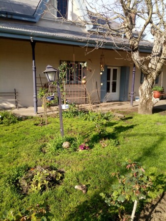 Casa única en estilo, Juárez