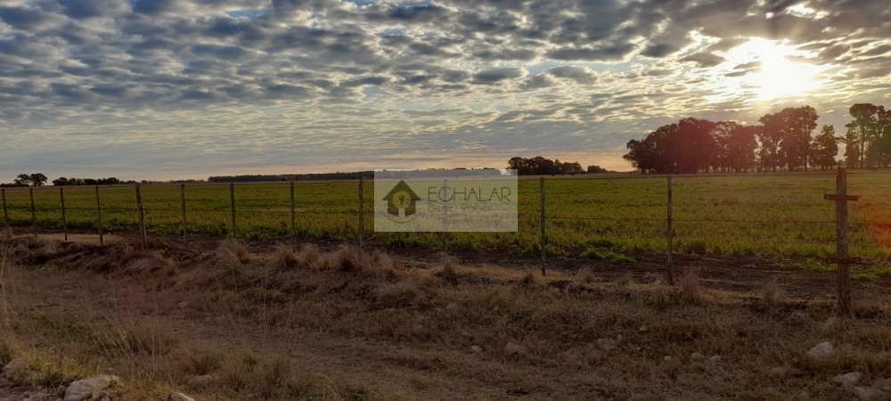 Campo mixto en venta en Juarez