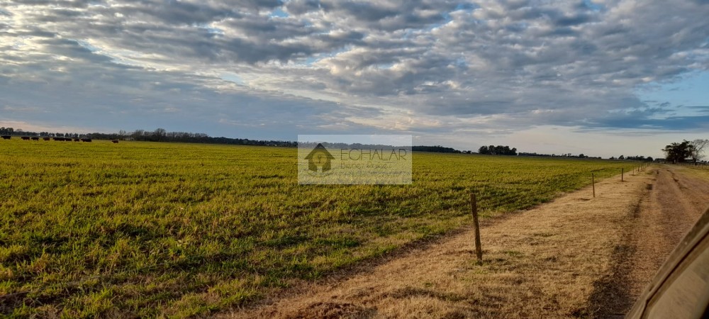 Campo mixto en venta en Juarez