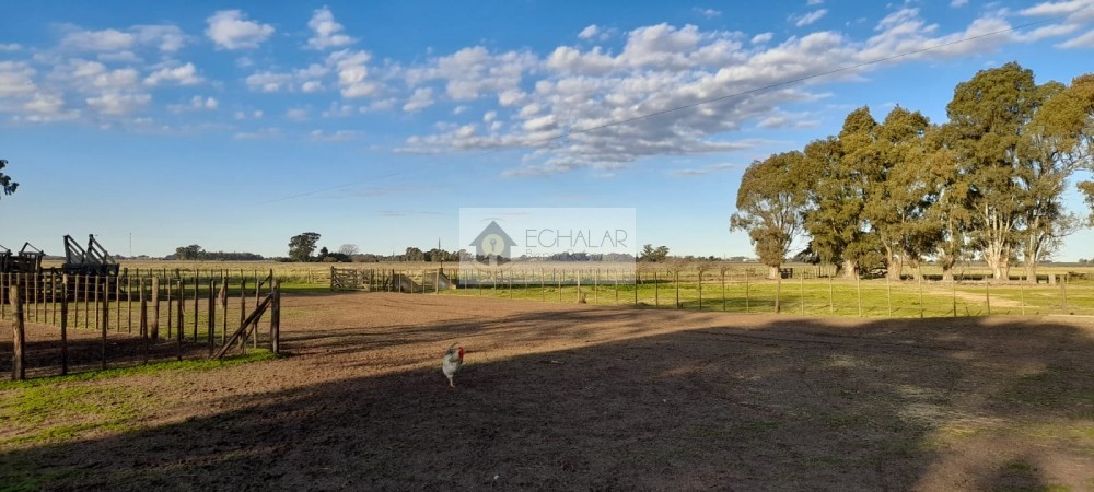 Campo mixto en venta en Juarez