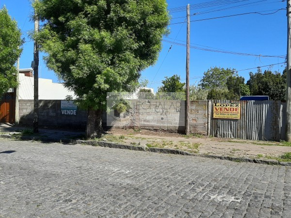 Lote centrico, Juarez